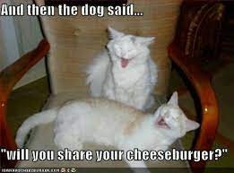 192 entries are tagged with funny animal pictures with captions. Funny Animal Pictures W Captions Home Facebook