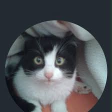 Game requests are available for games on facebook and for mobile games on ios and android. Souna Rrt Name Your Page Posts Facebook