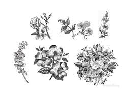 We Took Our Popular Black And White Floral Illustration And Made A Lovely New Pack Of Vintage Flower Tattoo Vintage Tattoo Design Black And White Flower Tattoo