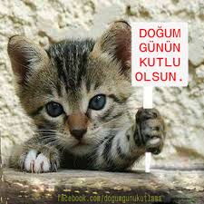 Dogum Gunu Mesajlari Resimli Google Da Ara Dogum Gunu Mesajlari Dogum Gunu Dogum Gunu Kartlari
