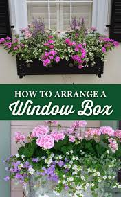 Beautiful and easy window box planter idea. 20 Gorgeous Window Box Ideas Adding Floral Magnificence To Your Home Window Box Flowers Window Box Plants Gorgeous Window Boxes