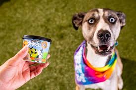 We did not find results for: Ben Jerry S Launches Frozen Desserts For Dogs Food News Seven Days Vermont S Independent Voice