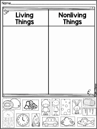 What Is Science Worksheet For Kindergarten In 2020 Kindergarten Science Preschool Science First Grade Science