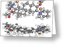 Image result for Pancuronium