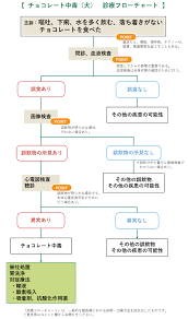 チョコレート 中毒 犬