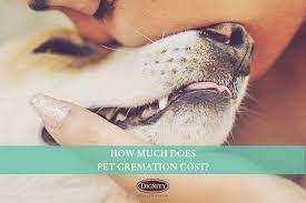 Maybe you would like to learn more about one of these? How Much Does Pet Cremation Cost Dignity Pet Crematorium
