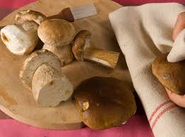 Comment Conserver Des Champignons Au Vinaigre