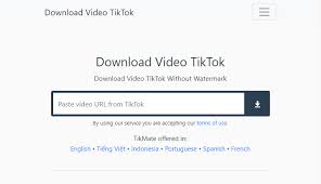 Tiktok video download in mp4 & mp3 format. Download Video Tiktok Tiktok Downloader No Watermark By Tikmate