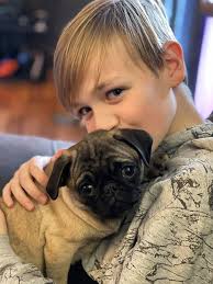 This my pug Lulu coming up to 4 yrs old