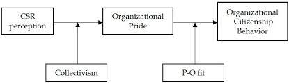Check spelling or type a new query. Sustainability Free Full Text Psychological Factors Linking Perceived Csr To Ocb The Role Of Organizational Pride Collectivism And Person Organization Fit Html