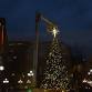 Tree Lighting Ceremony 2024