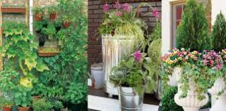 7 great trellis and support ideas for your houseplants! How To Grow Bitter Melon Growing Bitter Gourd In Pots Balcony Garden Web