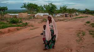 Cabo delgado is the northernmost province of mozambique. Mozambique Insurgency Children Beheaded Aid Agency Reports Bbc News