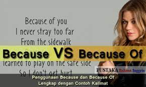 We did not find results for: Because Dan Because Of Perbedaan Penggunaan Contoh Kalimat