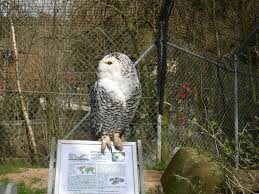 Berlin zoologischer garten station (german: Ausflugsziel Zoologischer Garten Hof Hof Frankenradar