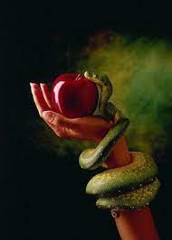 That is, the physical fruit may have contained some vitamin c and some beneficial fiber, but it was not spiritually nutritious. Did You Know The Fruit Of The Tree Of Knowledge Was Not An Apple