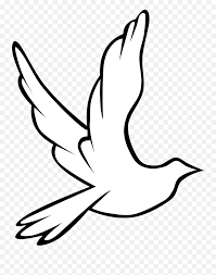 9 x 12 size of printed area: Funeral Clipart Prayer Hand Transparent Cartoon White Bird Png Praying Hands Emoji Png Free Transparent Png Images Pngaaa Com