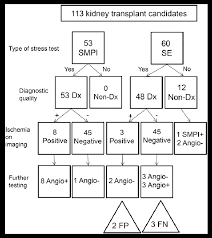 Flow Chart Of Testing For Cardiac Risk Stratification