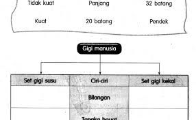 Bahasa melayu december 5, 2020. Sains Tahun 6 Bab 3 Dubai Khalifa