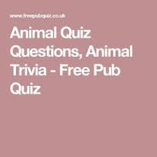 Pub trivia usa provides live trivia and bingo events at over 40 venues in the chicagoland area 7 nights a week. 110 Quiz Categories Questions Ideas Quiz Trivia Questions And Answers Trivia Questions