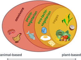 the effects of plant based diets on the body and the brain