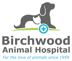 This can become a considerable expense. Birchwood Animal Hospital Veterinarian In Winnipeg Manitoba Canada Caged Pet Exotic Avian Medicine Birchwood Animal Hospital Veterinarian In Winnipeg Manitoba Canada