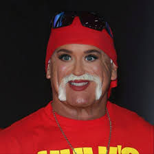 Katy Perry said brother one time and now she's Hulk Hogan