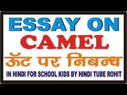 लकड़ी की काठी | lakdi ki kathi kathi pe ghoda. Essay On Camel In Hindi For School Kids By Hindi Tube Rohit Youtube