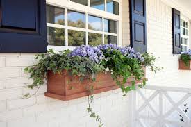 Bacopa, ivy geranium, sweet potato vine, and nasturtium all work well. How To Plant A Window Box How Tos Diy