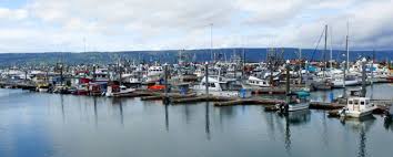 Check spelling or type a new query. Kenai Fjords National Park Womo Abenteuer