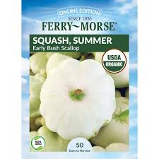 Squash, Early White Bush Scallop Organic Seeds Online Edition