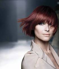 New Horizons Band Makes Sweet Music Community Spirit Award SDBC AGM &  Toonie Breakfast