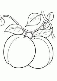 We have coloring pages for all ages, for all occasions and for all holidays. Free Coloring Pages For Kids Online And Printables Activities On Coloring 4kids Com Best Colorin Fruit Coloring Pages Easy Coloring Pages Cat Coloring Book