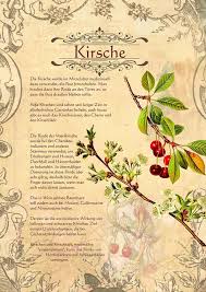 Pin On Essen Trinken