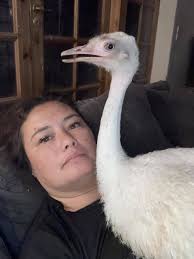 Rex says to make sure you keep all of you cool in this weather! 😅😂