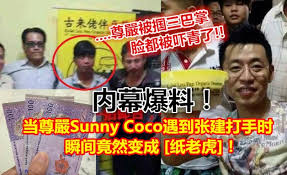 This acclaim took a turn for the worse in late september, when coco and fellow hololive virtual youtuber akai haato shared a graph on a. Sunny Coco Arrested