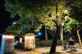 smile taipei taiwan on instagram 街燈映照下的大樹 拍攝地點 國父紀念館 台北 生活 日常 現在玩台北 街道 街頭 街拍 街道レーサー 放鬆 光 taipei taiwan taipei instagram