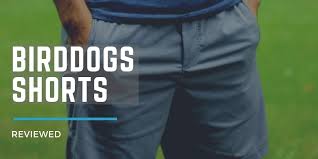 Check spelling or type a new query. Birddogs Shorts Review Functional Versatile And Comfortable Even For Golf Practical Golf