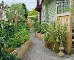 Raised Beds Lining A Narrow Area On The Side Of The House Garden Beds Edible Garden Kitchen Garden