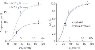 Relating Oxygen Partial Pressure Saturation And Content