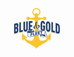 Image result for Blu By You 2018 Fleet