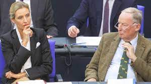 Alice Weidel ist beleidigt – und will einen Termin bei Steinmeier