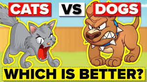 These two species can actually get along quite well despite their significant differences. Why Are Dogs Better Than Cats Youtube