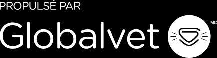 Chirurgie et hospitalisation, laboratoire d'analyse, radiographie, écho doppler. Clinique Veterinaire Du Littoral