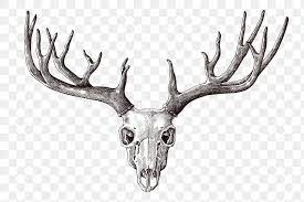 Hand Drawn Deer Skull With Antler Design Element Free Image By Rawpixel Com Hein