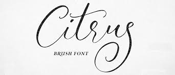 Creative bloq is supported by its audience. 15 Best Fancy Fonts For Your Next Special Occasion Elegant Themes Blog