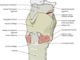 You might feel like food is sticking in your throat. Rqcwk36j15f4km
