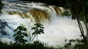 The municipality is a large producer of cattle. Salto Do Rio Apore Cassilandia Destimap Destinations On Map