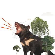 Browse latest funny, amazing,cool, lol, cute,reaction gifs and animated pictures! Tasmanian Devil Australia Sticker By Global Wildlife Conservation For Ios Android Giphy