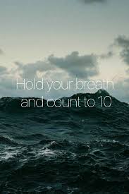 Skyfall Adele Skyfall Ten Holdyourbreath Lettheskyfall Adele 21 25 Someonelikeyou Hello Rollinginthedeep 007 Skyfall Adele Songs Someone Like You